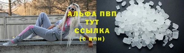 спиды Богородск