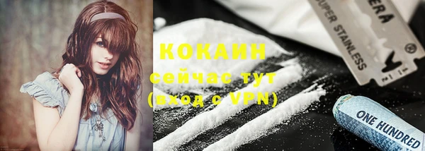 шишки Богородицк