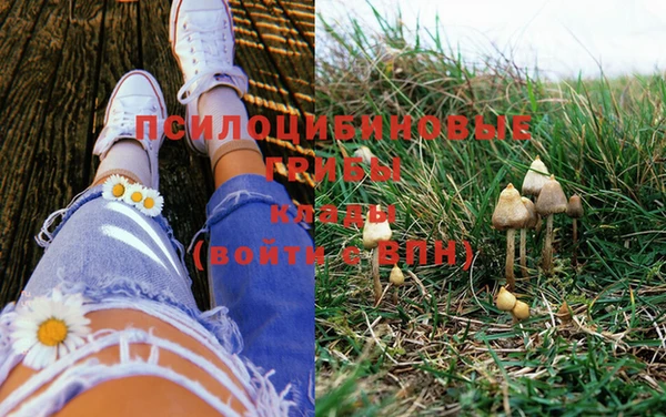 шишки Богородицк