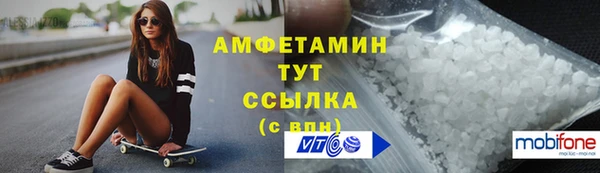 шишки Богородицк
