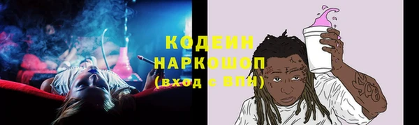 шишки Богородицк
