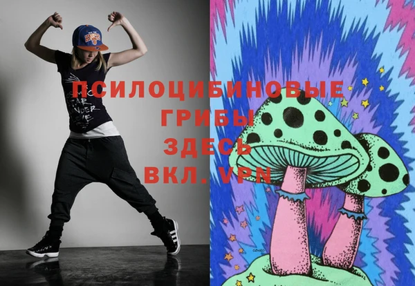а пвп мука Богданович
