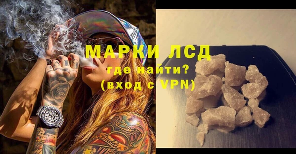 шишки Богородицк