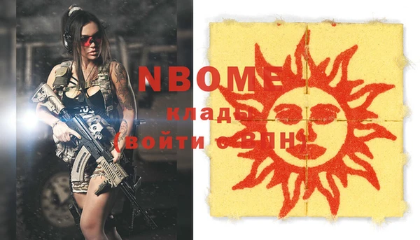 шишки Богородицк