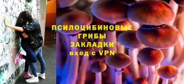 спиды Богородск