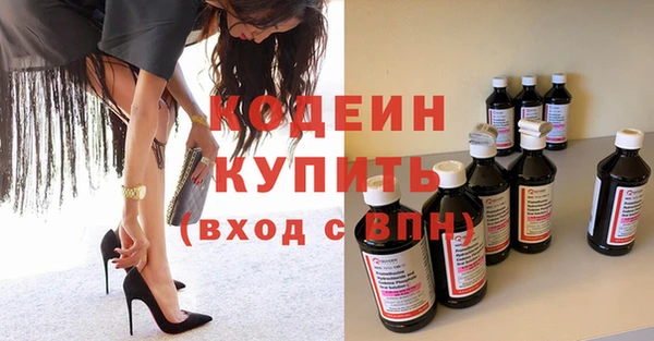 шишки Богородицк