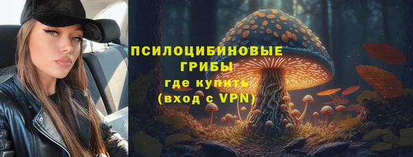 прущие грибы Тавда