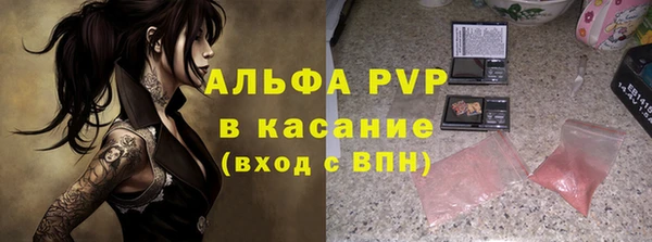 шишки Богородицк