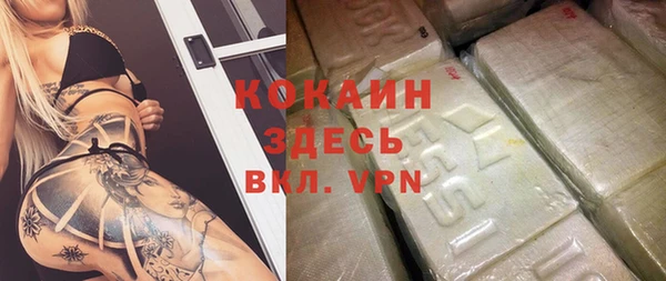 шишки Богородицк