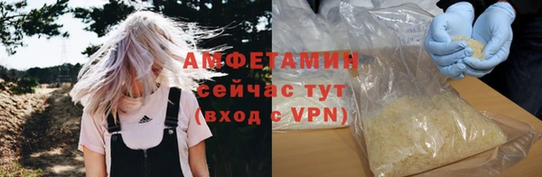 шишки Богородицк