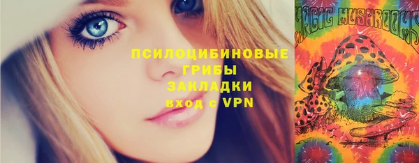 шишки Богородицк