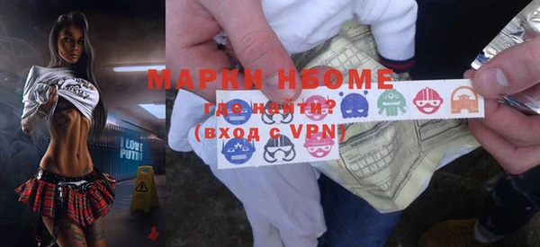 шишки Богородицк