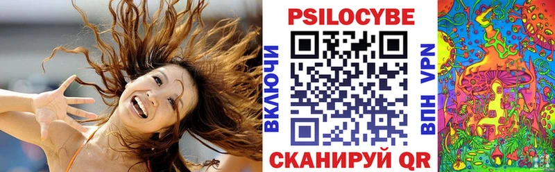 Псилоцибиновые грибы мухоморы  blacksprut ССЫЛКА  Краснозаводск 